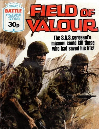 Cover of Field of Valour