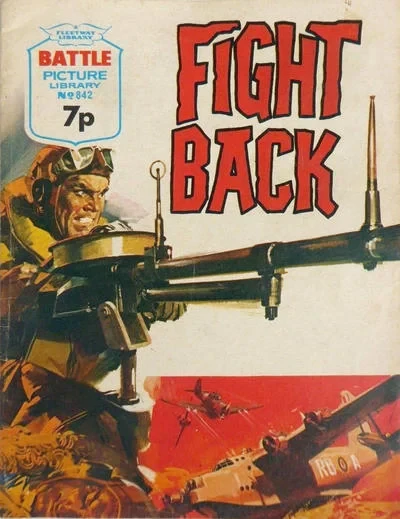 Cover of Fight Back