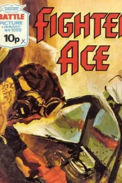 Fighter Ace