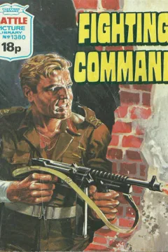 Fighting Command