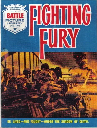 Cover of Fighting Fury