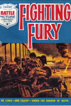 Fighting Fury