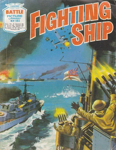 Cover of Fighting Ship