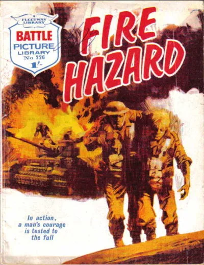 Cover of Fire Hazard