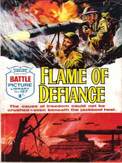 Cover of Flame Of Defiance
