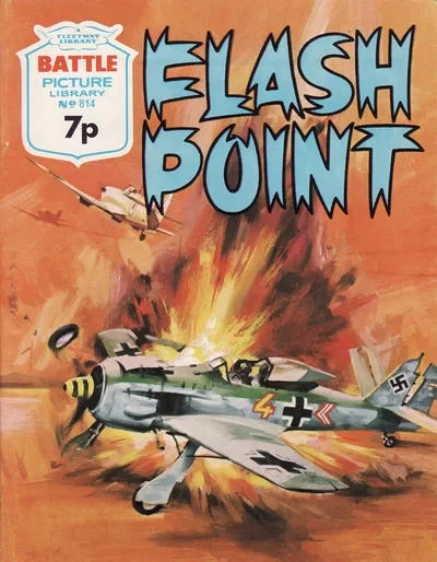 Cover of Flash Point