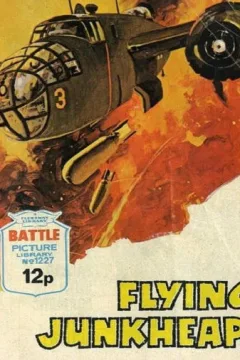 Flying Junkheaps