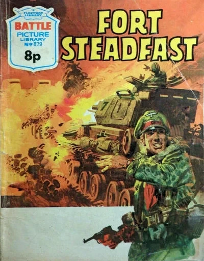 Cover of Fort Steadfast