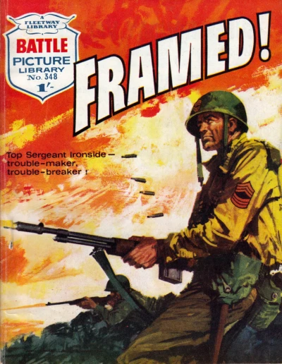 Cover of Framed!
