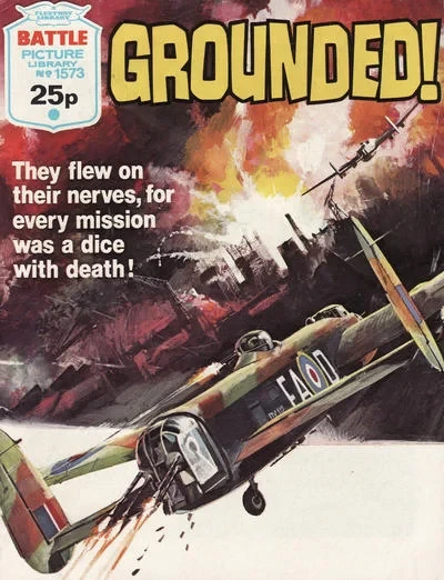 Cover of Grounded!