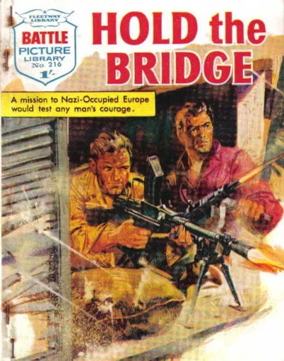 Cover of Hold the Bridge