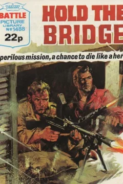 Hold the Bridge