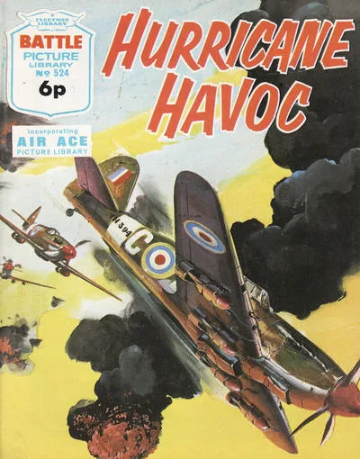 Cover of Hurricane Havoc