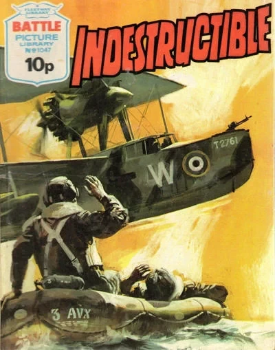 Cover of Indestructible