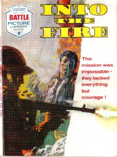 Cover of Into The Fire