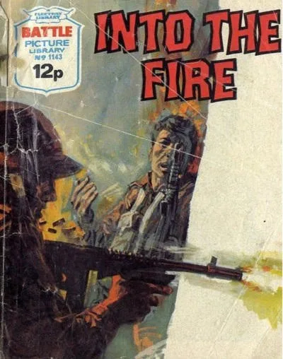 Cover of Into the Fire