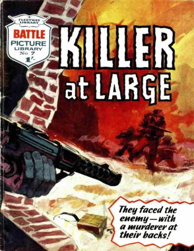 Cover of Killer At Large