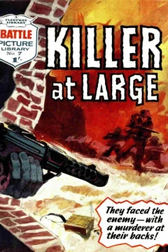 Killer At Large