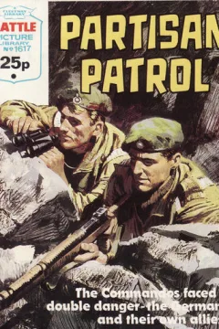 Partisan Patrol