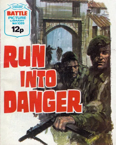 Cover of Run into Danger
