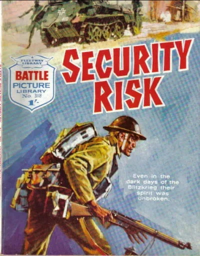 Cover of Security Risk