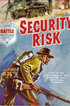 Security Risk