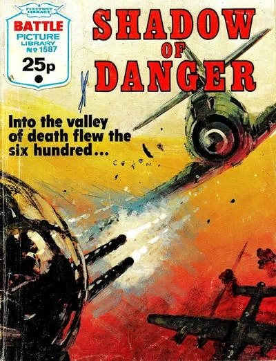 Cover of Shadow of Danger