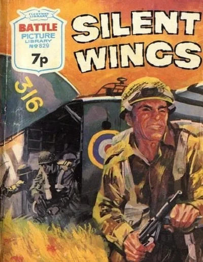 Cover of Silent Wings