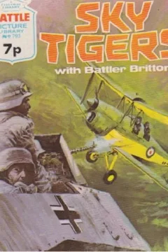 Sky Tigers