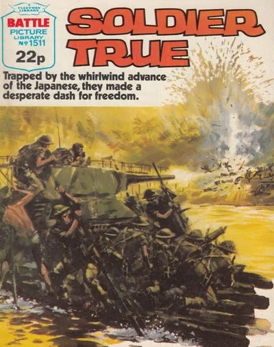 Cover of Soldier True
