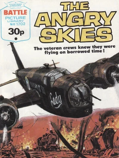 Cover of The Angry Skies