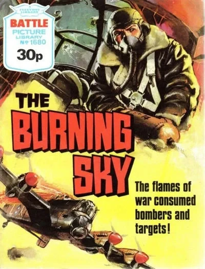 Cover of The Burning Sky