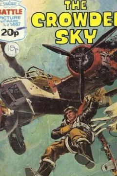 The Crowded Sky