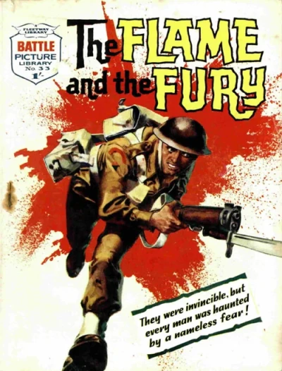 Cover of The Flame And The Fury