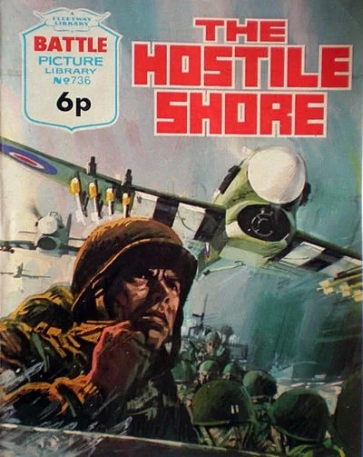 Cover of The Hostile Shore