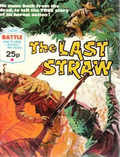 Cover of The Last Straw
