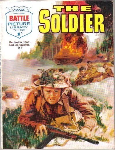 Cover of The Soldier
