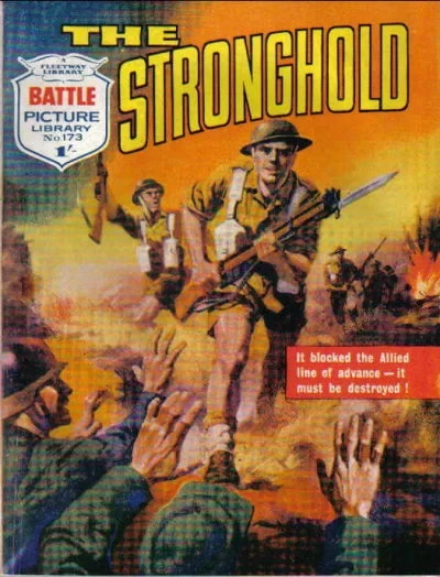 Cover of The Stronghold