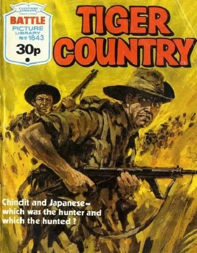 Cover of Tiger Country
