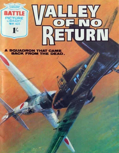 Cover of Valley of no Return