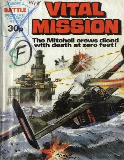 Cover of Vital Mission