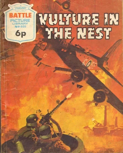 Cover of Vulture in the East