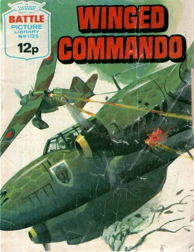 Cover of Winged Commando