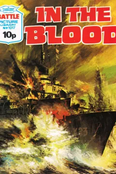 Issue #1017