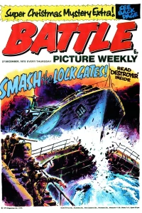 Battle 43