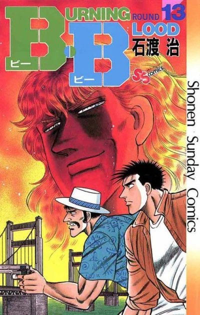 Cover of Vol. 13