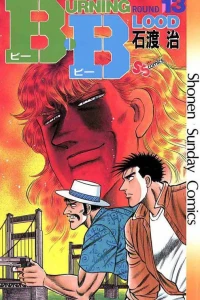Vol. 13