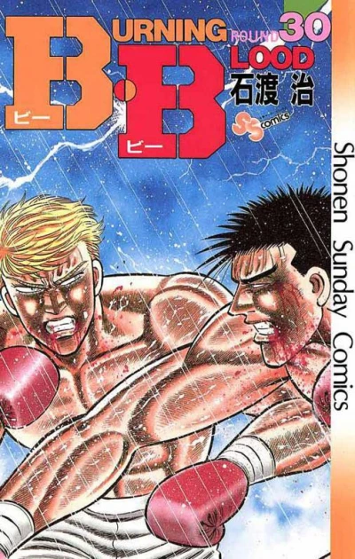 Cover of Vol. 30