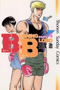 Vol. 4