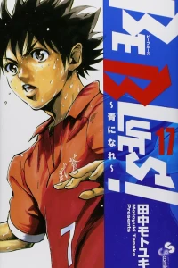 Vol. 17
